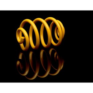 king springs ultra low coil spring set holden commodore